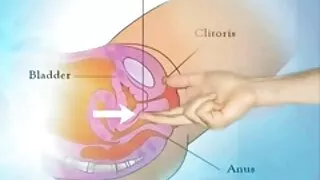 A mulher estava esperando por sua namorada com um presente, mas ela não sabia que tudo se transformaria em xvídeos pornô gratuito sexo lésbico