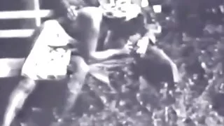 Morena chupada e fodida por um cara para vídeo pornô brasileiro gratuito Avós
