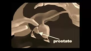 Cara fode a video pornou gratis irmã na vagina com prazer