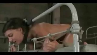 Insolente cara fode apaixonadamente suculento Russo virgem Estilo cachorrinho vídeo pornô grátis grátis